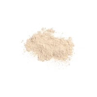 Colorescience Brush On Sunscreen spf30
