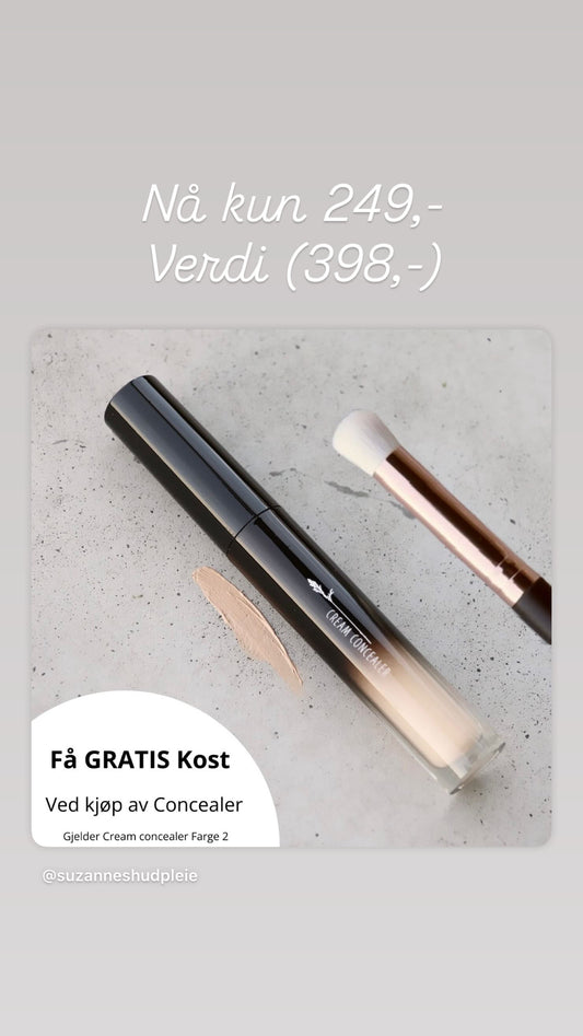 FRID Concealer + Kost